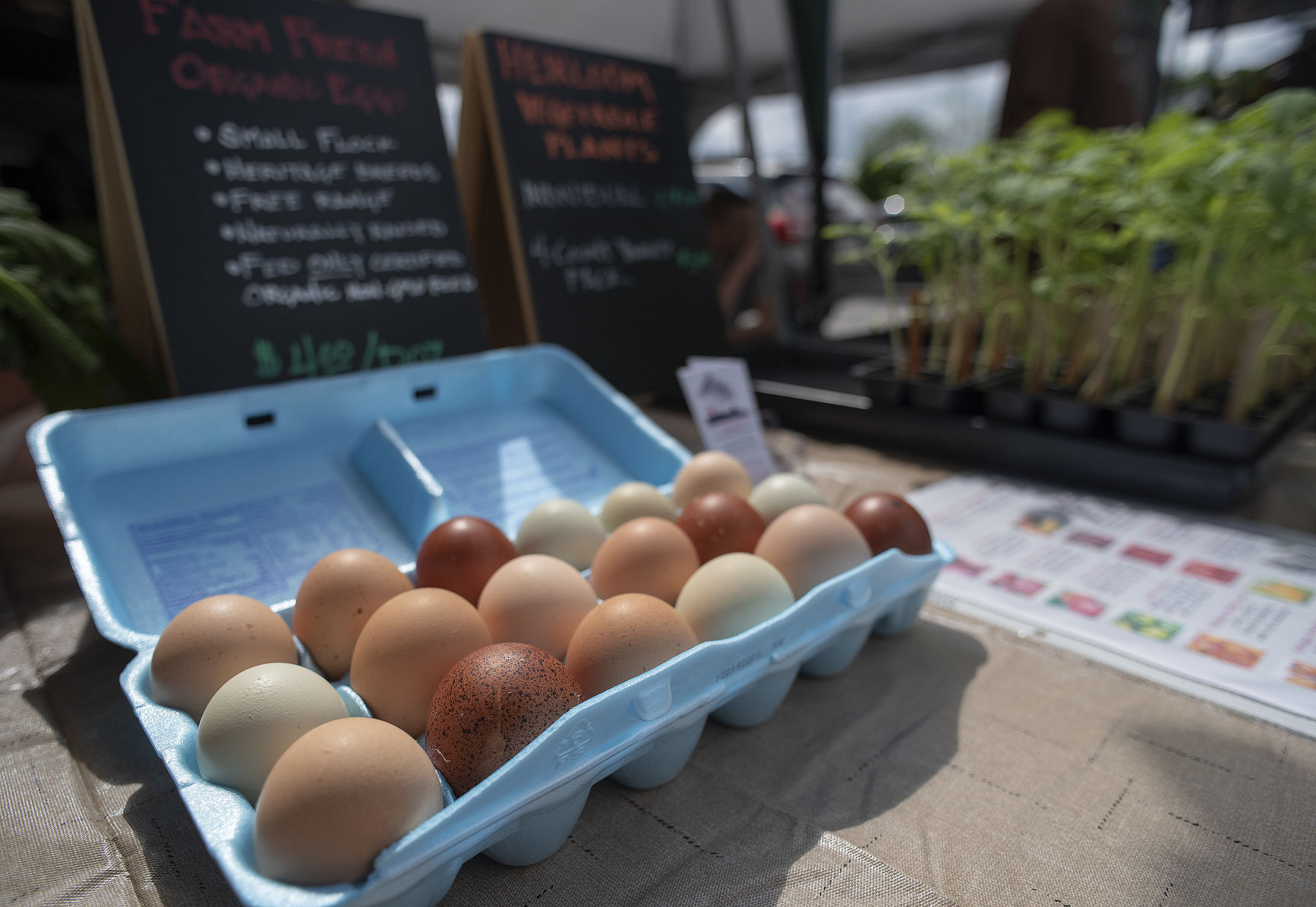 Bristol Farmers Market 03